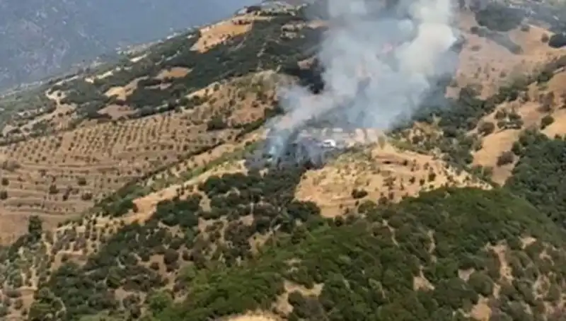 Aydın'ın Zeytinliklerinde Yangın Alarmı: Doğaya Büyük Zarar!