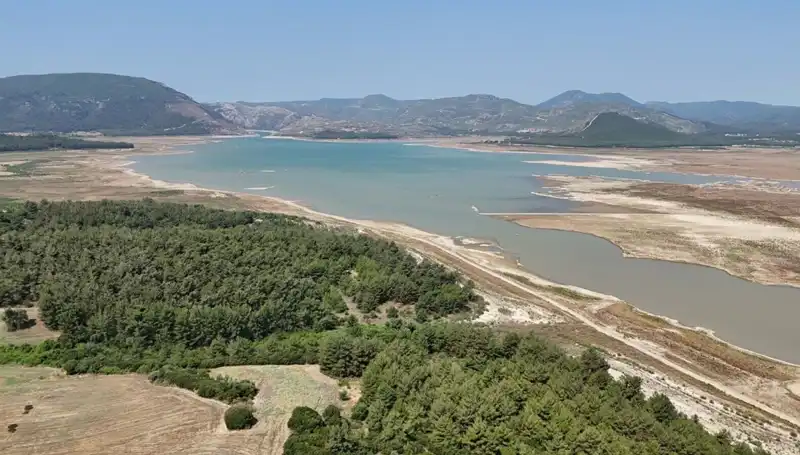 İzmir'de Tehlike Çanları Çalıyor: Geçen Yıla Göre Yüzde 50 Düşüş Var!