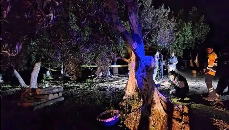 Çiftlikte Baltalı Vahşet: Olayla İlgili Bir Kişi Tutuklandı