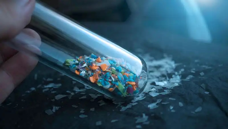 Mikroplastikler İnsan Beyninde: Sağlık Üzerindeki Gizli Tehditler