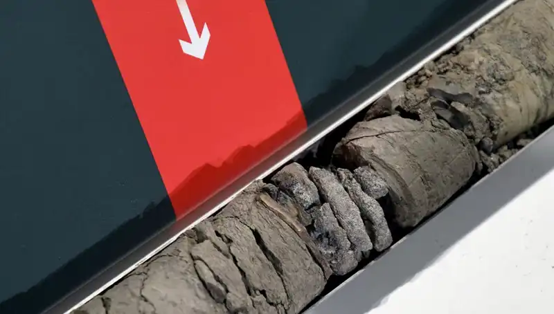 Dinozor Fosili, Müze Otoparkında Bulundu: Tarih Yeniden Yazılıyor!