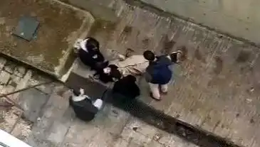Kampüste Köpek Paniği: Öğrenci 4 Metreden Betona Düştü, Yaralandı