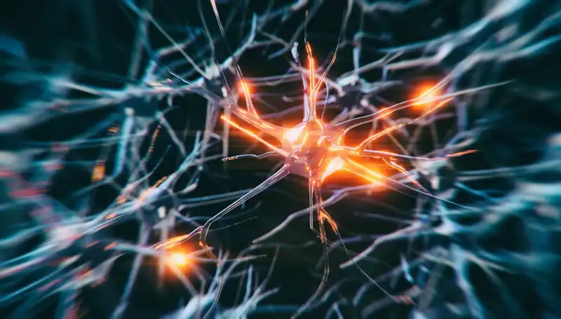 Alzheimer Vakalarındaki Artışın Arkasındaki Düşünülmedik Sebepler