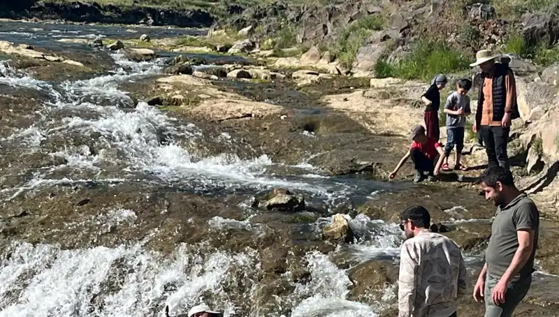 İnci Kefalinin Gizemli Göçü: Turistler Bu Doğa Harikasını İzlemeye Akın Ediyor