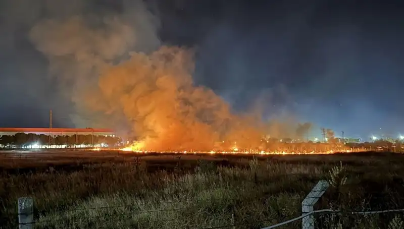 İzmir'de Gece Yarısı Yangın Paniği: Korkutan Anlar ve Sonrası