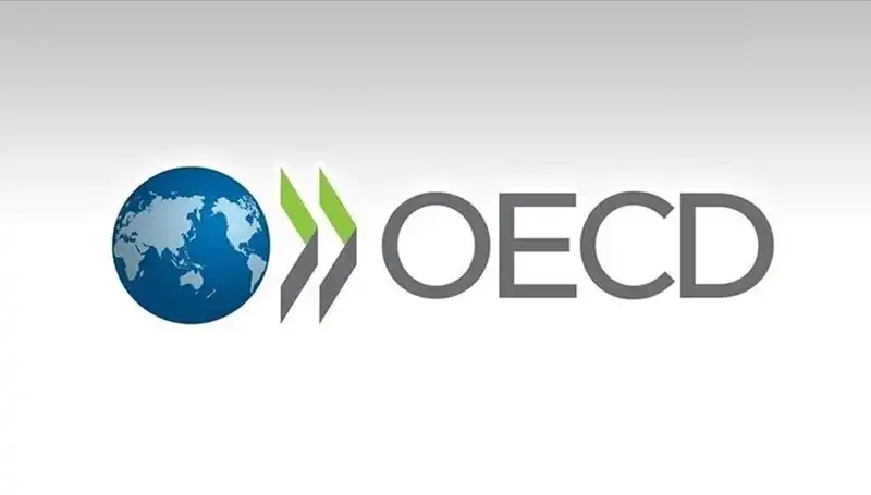 OECD'den Türkiye İçin Büyüme Tahmini: Ekonomik Görünümde Neler Değişti?