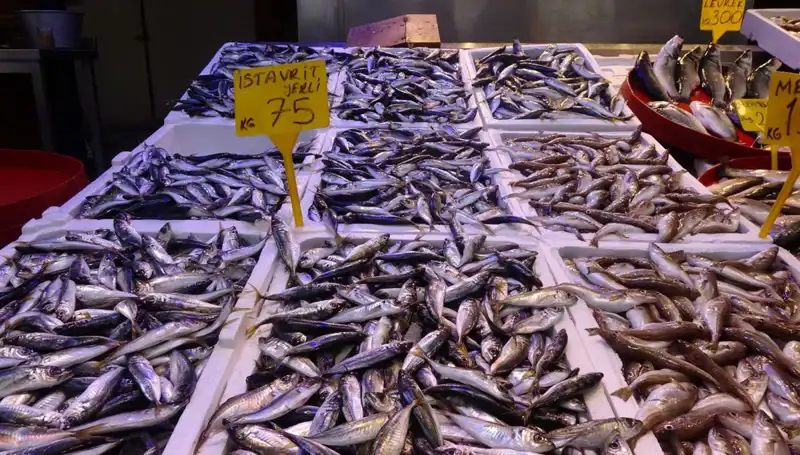 Balık Sezonu Sonbaharda Kapatılıyor: Peki, Neler Olacak?