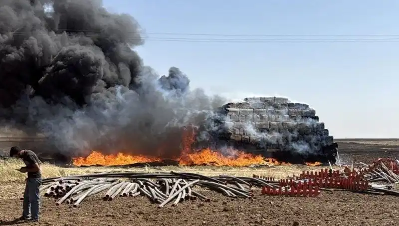 Mardin'deki Anız Yangınları: Doğa ve Ekonomi Üzerindeki Etkileri