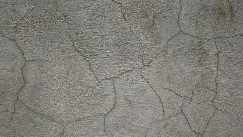 Canlı Beton: Çatlak Kendini Onarıyor, Geleceğin İnşaatında Devrim