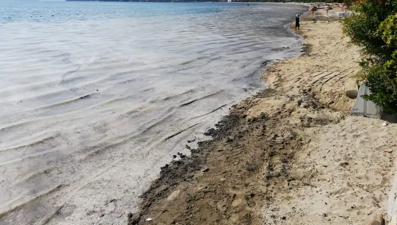 Müsilaj Sorunu Durgunluğu Getirdi: 268 İşletme Kapatıldı