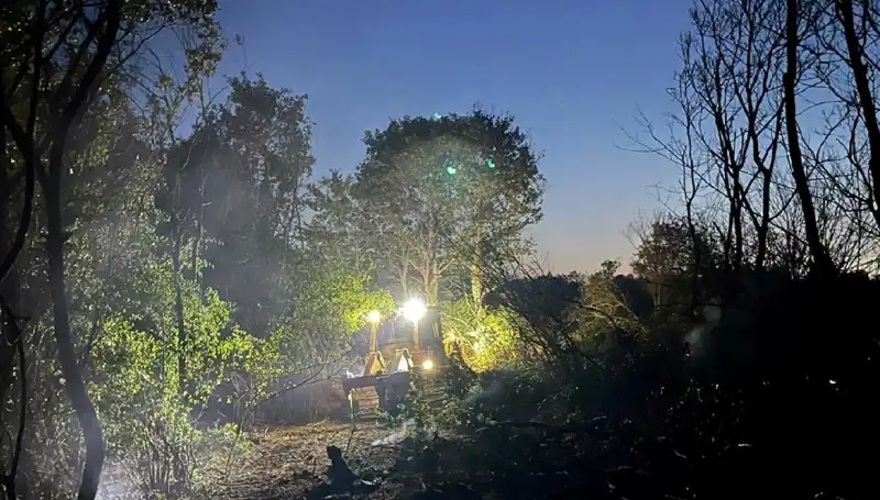 Edirne Orman Yangını Kontrol Altına Alındı: Son Durum Nedir?