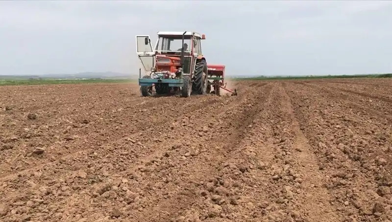 Son 35 Yılın En Kurak Mart Ayı: Türkiye'de Yağış Miktarı Yüzde 59 Düştü
