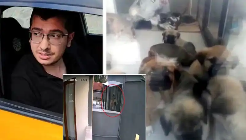 Şok Edici Olay: Veteriner Doktorun Evinde Yürek Dağlayan Köpek Katliamı