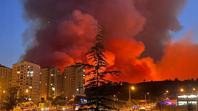 Bursa'da Yangınlar Neden Şehri Tehdit Altında Bırakıyor?