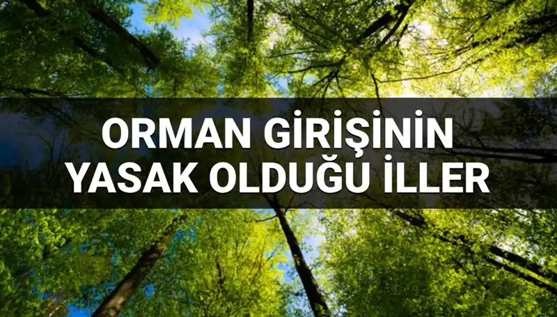 2025'te Öne Çıkan İllerde Ormana Girmek Yasaklandı: İşte Listesi!