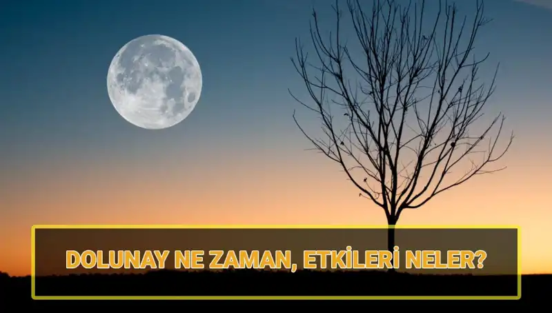 Terazi Dolunayı Hakkında Bilmeniz Gereken Her Şey!