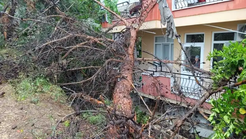 Yağmurun Ardından Gelen Tahribat: Binanın Üzerine Devrildiği Anların Detayları