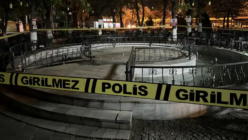 Kırklareli'ndeki Süs Havuzunda Şok! Dört Kişi Hastaneye Kaldırıldı