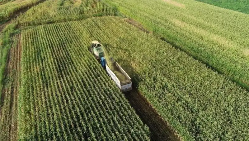2025 İçin Mazot ve Gübre Desteği Ödemeleri: Son Durum ve Beklentiler